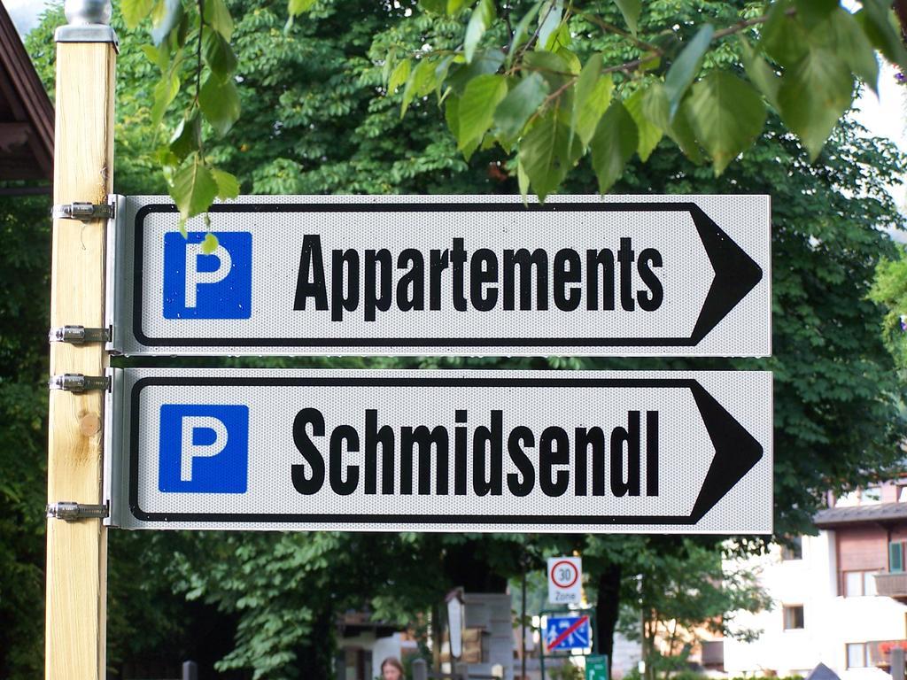 Appartements Schmidsendl Lofer Luaran gambar